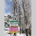 Atico En El Pirineo Aragones * 潘蒂科萨